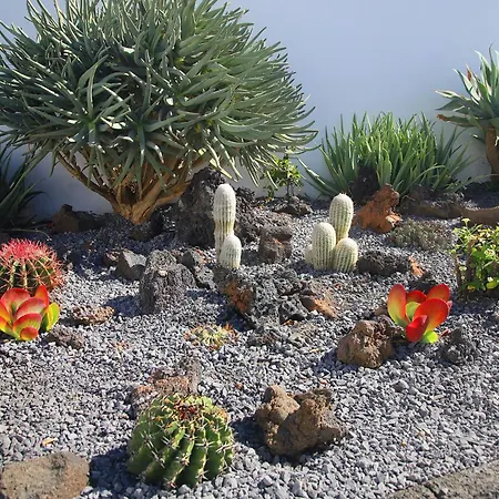 Juliet L1 Villa Puerto del Carmen (Lanzarote)